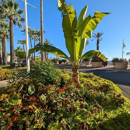 Apartment Le Chester - Terrasse & Clim - Croisette, Port Canto Et Centre A Pied - Au Calme *